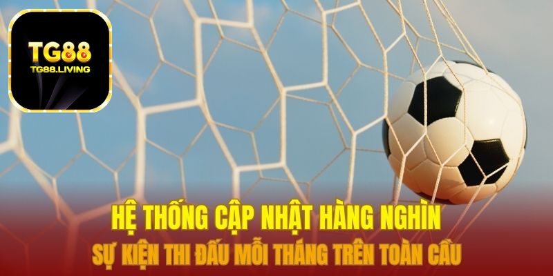 Hệ thống cập nhật hàng nghìn sự kiện thi đấu mỗi tháng trên toàn cầu