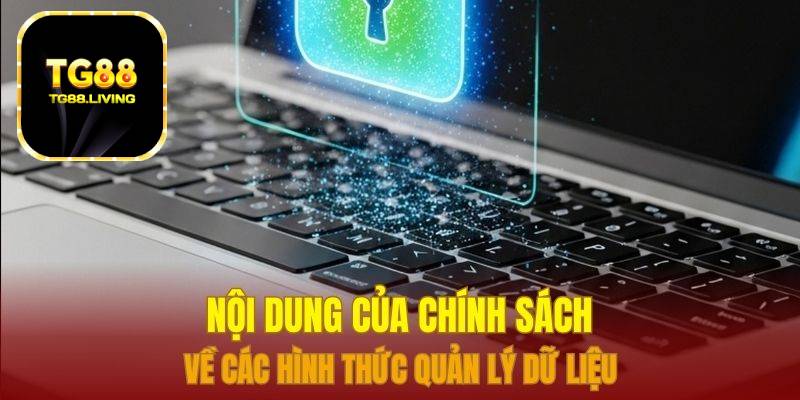 Nội dung của chính sách về các hình thức quản lý dữ liệu