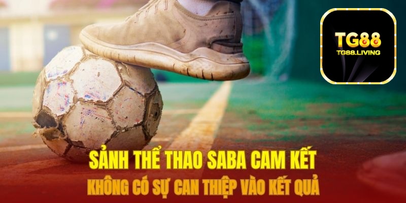 Sảnh thể thao Saba cam kết không có sự can thiệp vào kết quả 